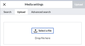 Insert images 2.png