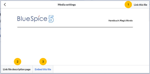 Dialogue window for embedding files with the 3 options described