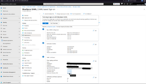 Draft:Setup Draft Setup Azure-SAML-Connection metadata.png