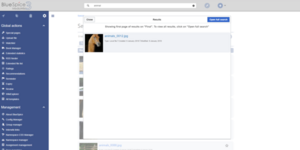 650px-InterwikiSearch2.PNG