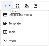 Insert menu options of the visual editor