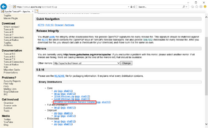 Setup:Tomcat Download 02.png
