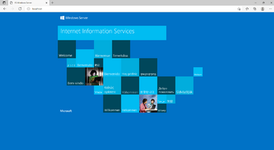 IIS Webserver 11