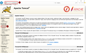 Setup:Tomcat Download 01.png