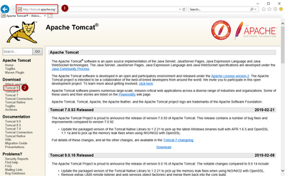 Tomcat Download 01