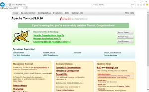 Setup:Tomcat Check 01.png
