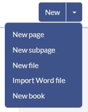 New button with open drop-down menu