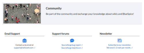 Screenshot of the "Startpage Internal It Helpdesk"