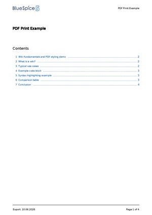 PDF Print Example-customCSS.pdf